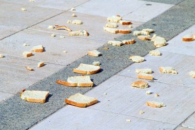 High angle view of bread fallen on footpath