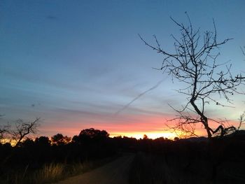 Silhouette bare trees by road against sky during sunset