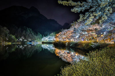 Reflection of trees in lake against sky at night