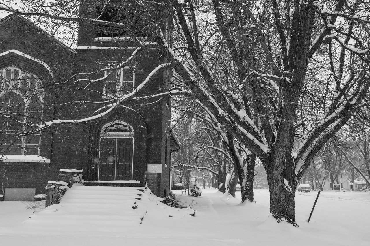 BARE TREES ON SNOW COVERED LAND AND BUILDINGS