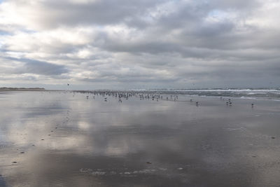 Scenic view of beach against sky