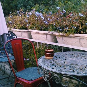 Chairs and table against trees