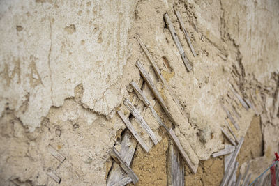 Full frame shot of tree trunk on wall