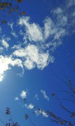 Low angle view of birds flying against blue sky