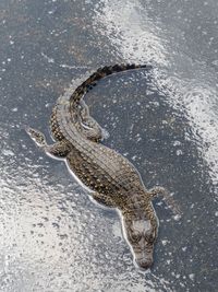 Close-up of water splashing in winter