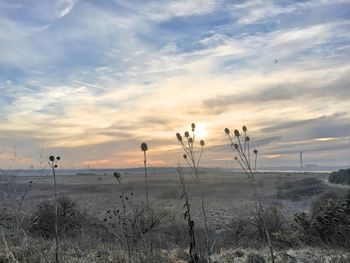 Scenic view of landscape against sky