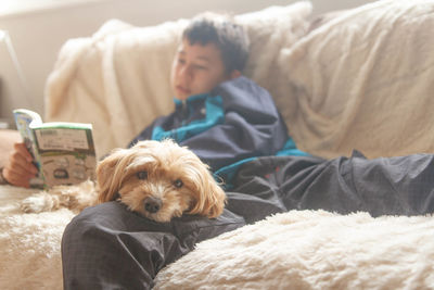 Boy reading book while sitting with dog on sofa at home