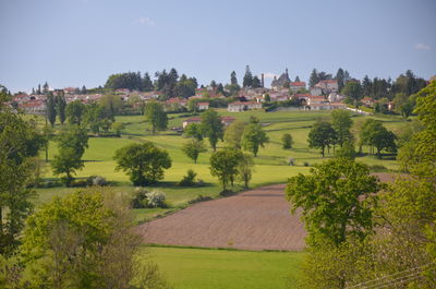 Scenic view of agricultural field by houses against sky