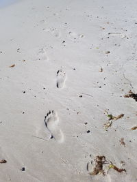 High angle view of footprints on beach