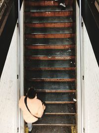 High angle view of cat on steps