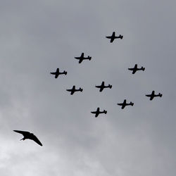 Low angle view of silhouette birds flying in sky