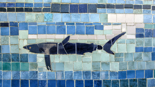 Mosaic of a shark
