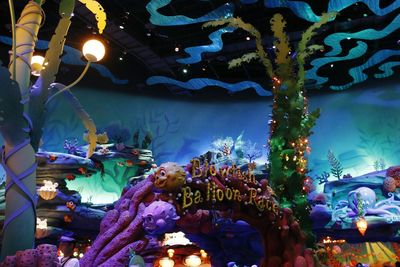 High angle view of illuminated plants at night