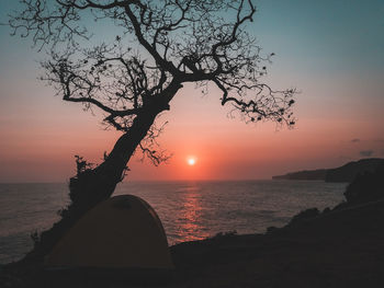 Silhouette tree on beach against sky during sunset