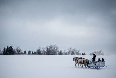 winter