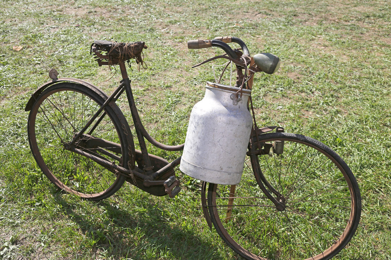 BICYCLE PARKED ON GRASS FIELD