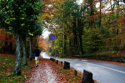 Empty road along trees