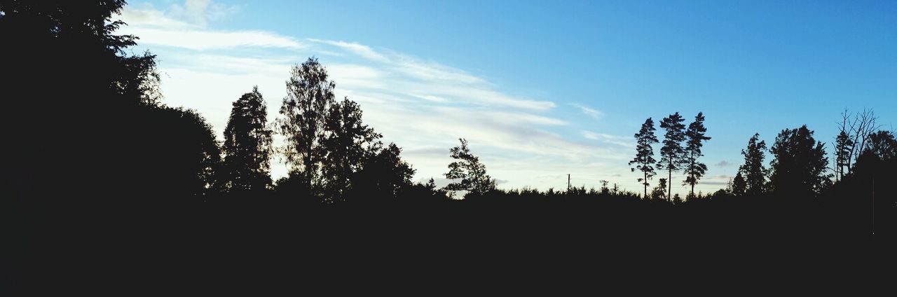 silhouette, tranquility, tree, tranquil scene, sky, scenics, beauty in nature, nature, landscape, sunset, idyllic, blue, growth, low angle view, non-urban scene, cloud - sky, outdoors, no people, non urban scene, sunlight