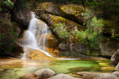 Long exposure scenic view of waterfall in forest