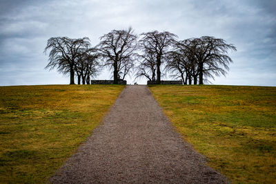 Road amidst trees on field against sky