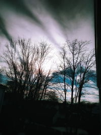 Bare trees against sky
