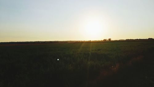 Scenic view of field against clear sky during sunset