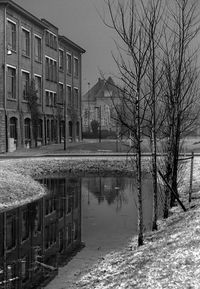 Reflection of bare trees and buildings in canal