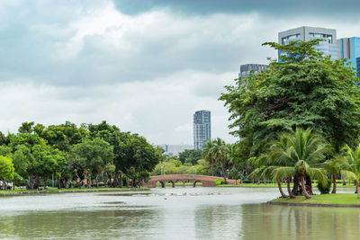 Trees by river against buildings in city against sky