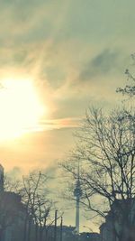 Silhouette bare tree against sky during sunset