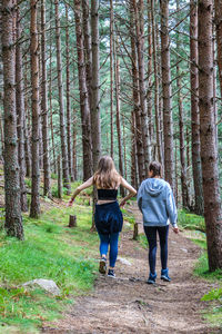 Rear view of women walking in forest