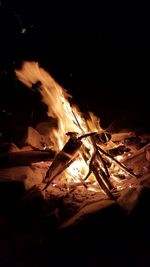 Close-up of bonfire at night