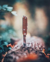 Close-up of folding knife