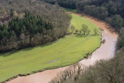 Scenic view of landscape with trees in background