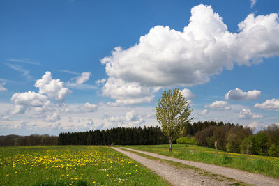 Panoramic landscape of hiking trail throught meadows with clouds and blue sky at springtime, germany