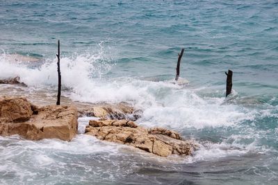 Waves splashing on rocks at shore