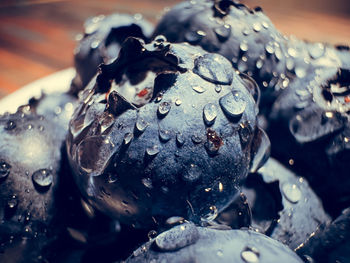 Close-up of water drops on flower