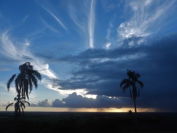 Silhouette palm trees on beach against sky at sunset