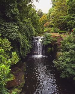 View of waterfall along lush foliage