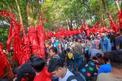 Rear view of people looking at trees