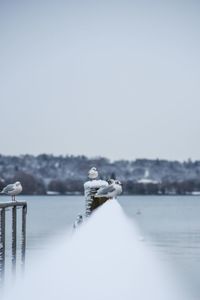 Snow on sea against sky