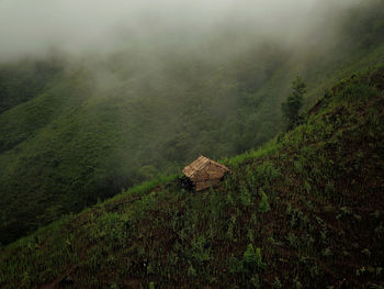 High angle view of fog on field