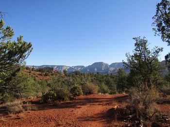 Scenic view of landscape against clear blue sky