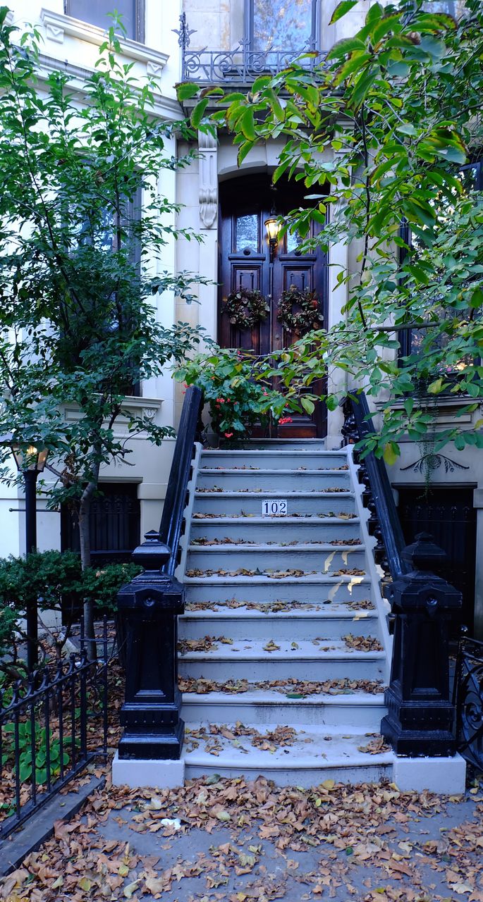 steps, architecture, steps and staircases, staircase, built structure, building exterior, stairs, plant, railing, potted plant, outdoors, house, tree, day, growth, no people, leaf, entry, nature, hand rail