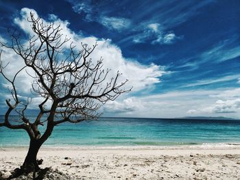 Scenic view of sea against blue sky