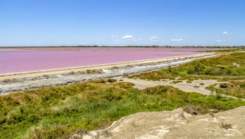 Scenic view of landscape against clear blue sky