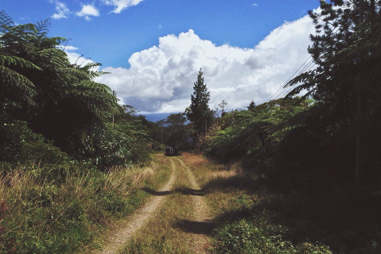 tree, sky, the way forward, tranquility, tranquil scene, road, nature, sunlight, scenics, dirt road, cloud - sky, landscape, cloud, beauty in nature, grass, mountain, growth, shadow, plant, non-urban scene