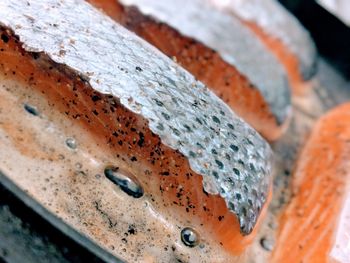 High angle view of a bread