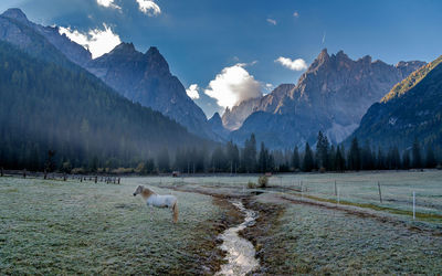 Horse on field against mountains