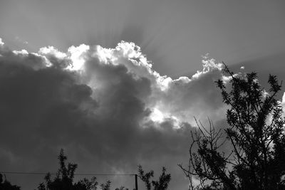 Low angle view of silhouette trees against sky