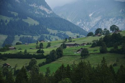 Scenic view of agricultural field and mountains